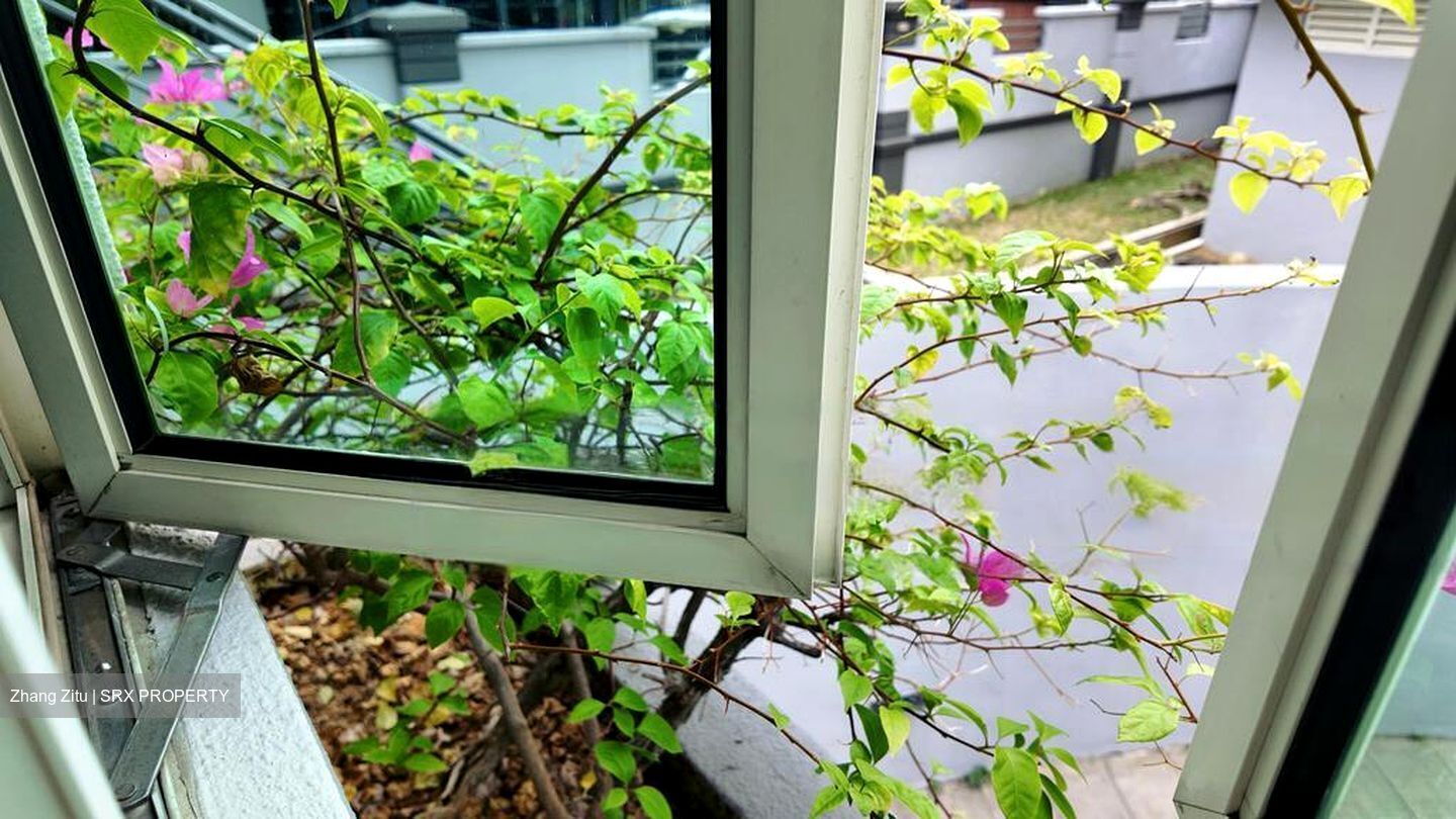 St. Patricks Green (D15), Apartment #483904991